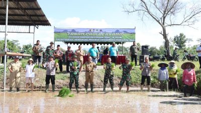 Dukung Swasembada Pangan Nasional, Koramil 0808/16 Talun Tanam Padi Bersama Forkopimcam Dan Masyarakat