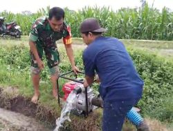 Babinsa Ringinanyar Bantu Petani Penuhi Kebutuhan Air Melalui Pompanisasi