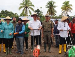 GUBERNUR DAN ISTRI PANEN JAGUNG HIBRIDA DAN TANAM PERDANA PADI GOGO DI HATUSUA