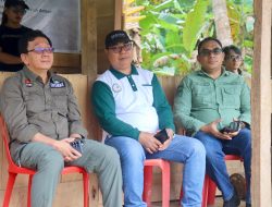 Nilam dan Hutan Lestari: Jejak Komitmen Plaghelmo Seran di Tawiri