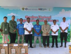 Cabai Digital Farming di Maluku Melejit, Produksi Naik 34% Berkat Gerakan Gubernur Lewerissa