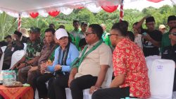 Wagub Vanath Dorong Modernisasi Pertanian: Hotong sebagai Pangan Lokal Strategis, Maluku Targetkan 5.000 Hektare Kakao